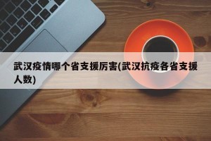 武汉疫情哪个省支援厉害(武汉抗疫各省支援人数)