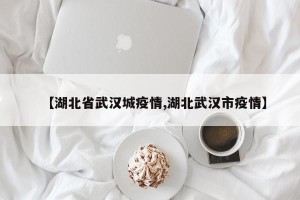 【湖北省武汉城疫情,湖北武汉市疫情】