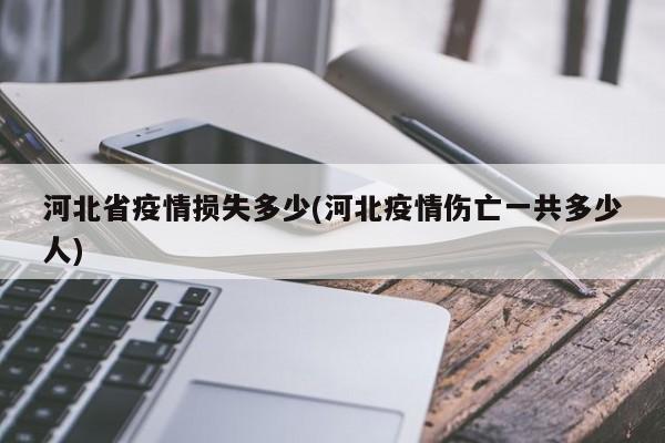 河北省疫情损失多少(河北疫情伤亡一共多少人)