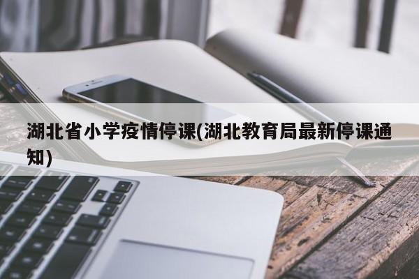 湖北省小学疫情停课(湖北教育局最新停课通知)
